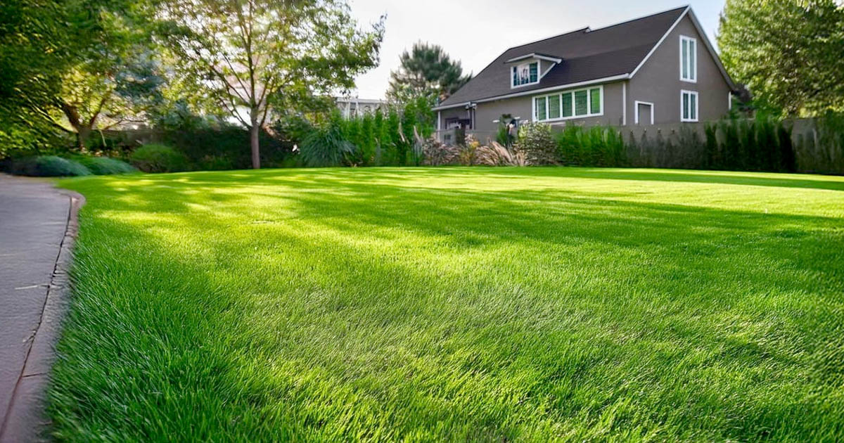 Lawn Aeration Services