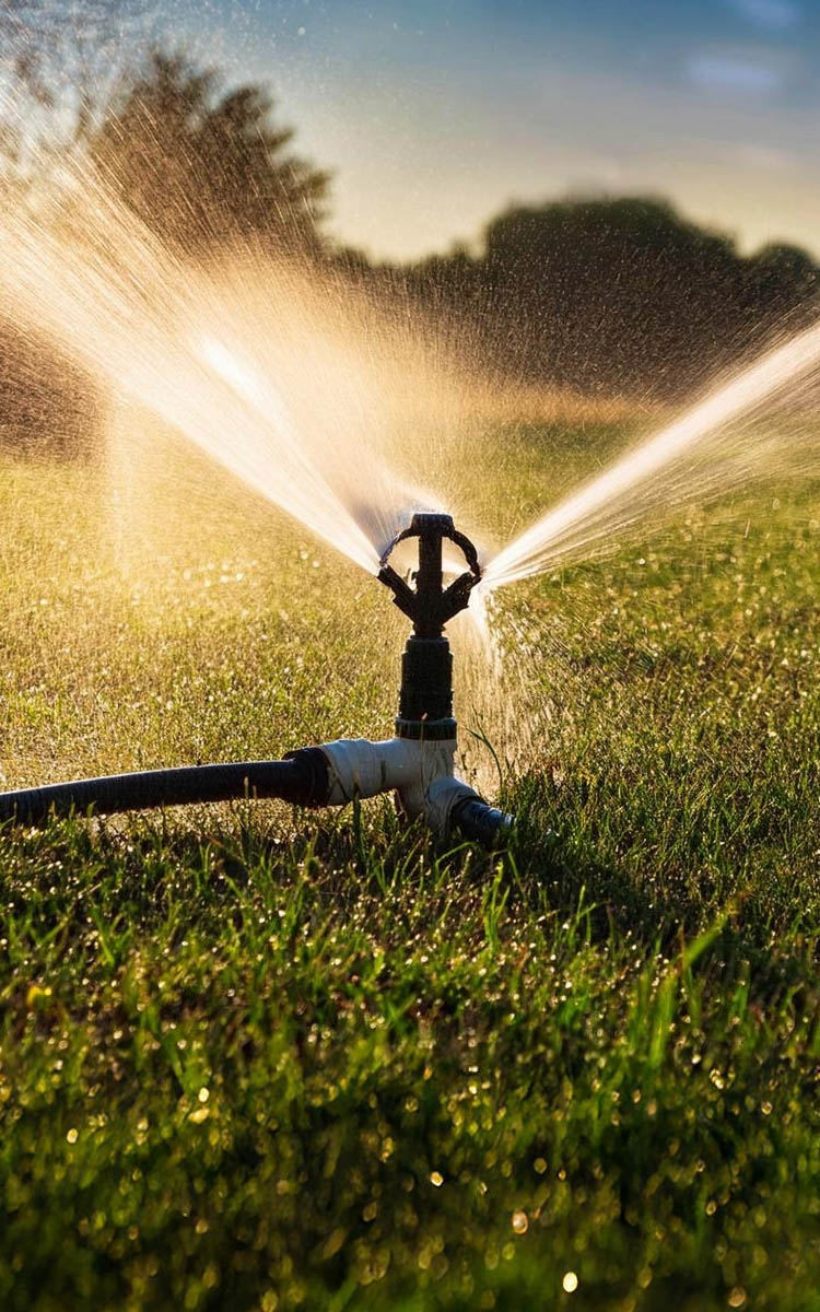 irrigation and blow-out sprinkler